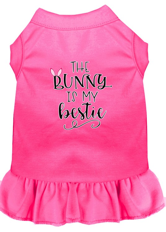 Bunny is my Bestie Screen Print Dog Dress Bright Pink Sm